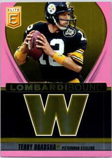 Terry Bradshaw