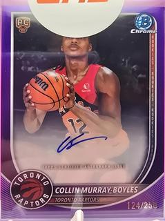 Collin Murray-Boyles