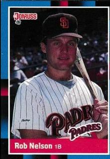 Rob Nelson