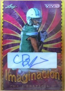 Adrian Peterson