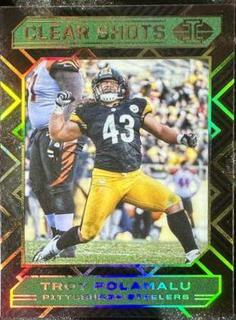 Troy Polamalu