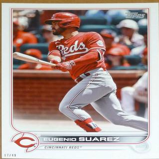 Eugenio Suarez