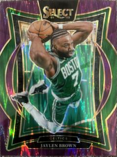 Jaylen Brown