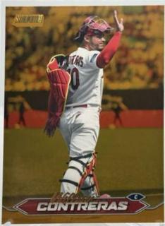 Willson Contreras