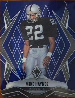 Mike Haynes