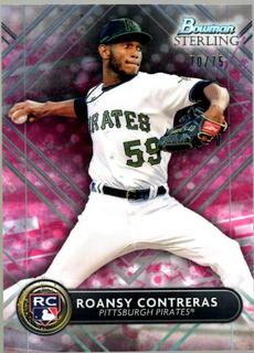 Roansy Contreras