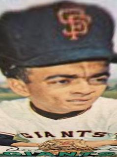 Ozzie Virgil