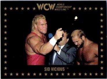 Sid Vicious #18 Wrestling Cards 1991 Championship Marketing WCW