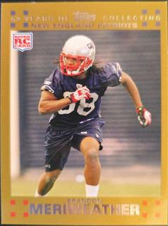 Brandon Meriweather