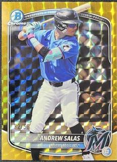 Andrew Salas