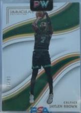Jaylen Brown