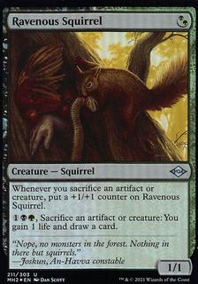 Ravenous Squirrel