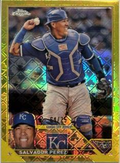 Salvador Perez