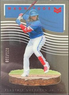 Vladimir Guerrero Jr.