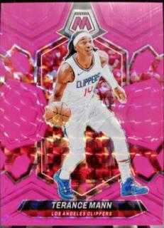 Terance Mann