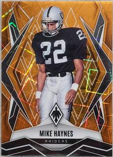 Mike Haynes