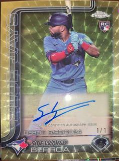 Steward Berroa