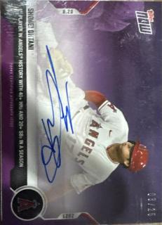Shohei Ohtani