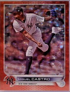 Miguel Castro