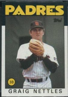 Graig Nettles
