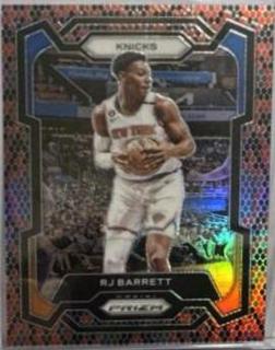 RJ Barrett
