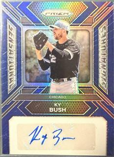 Ky Bush