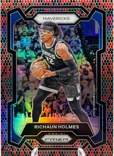 Richaun Holmes