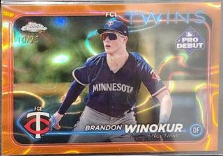 Brandon Winokur