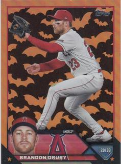 Brandon Drury