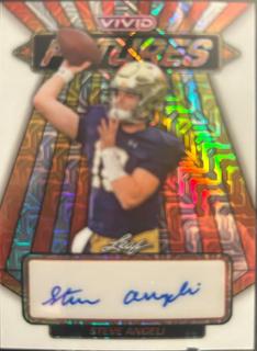 Steve Angeli