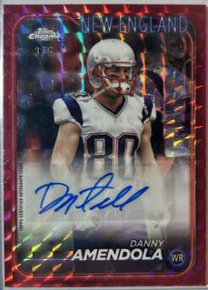 Danny Amendola
