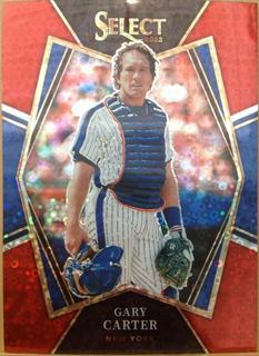 Gary Carter