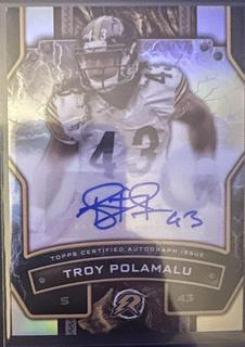 Troy Polamalu