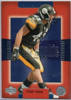 Troy Polamalu