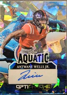Antwane Wells Jr.
