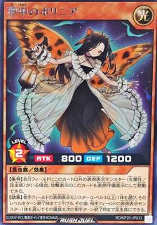 Delirium Polynea KP20-JP033