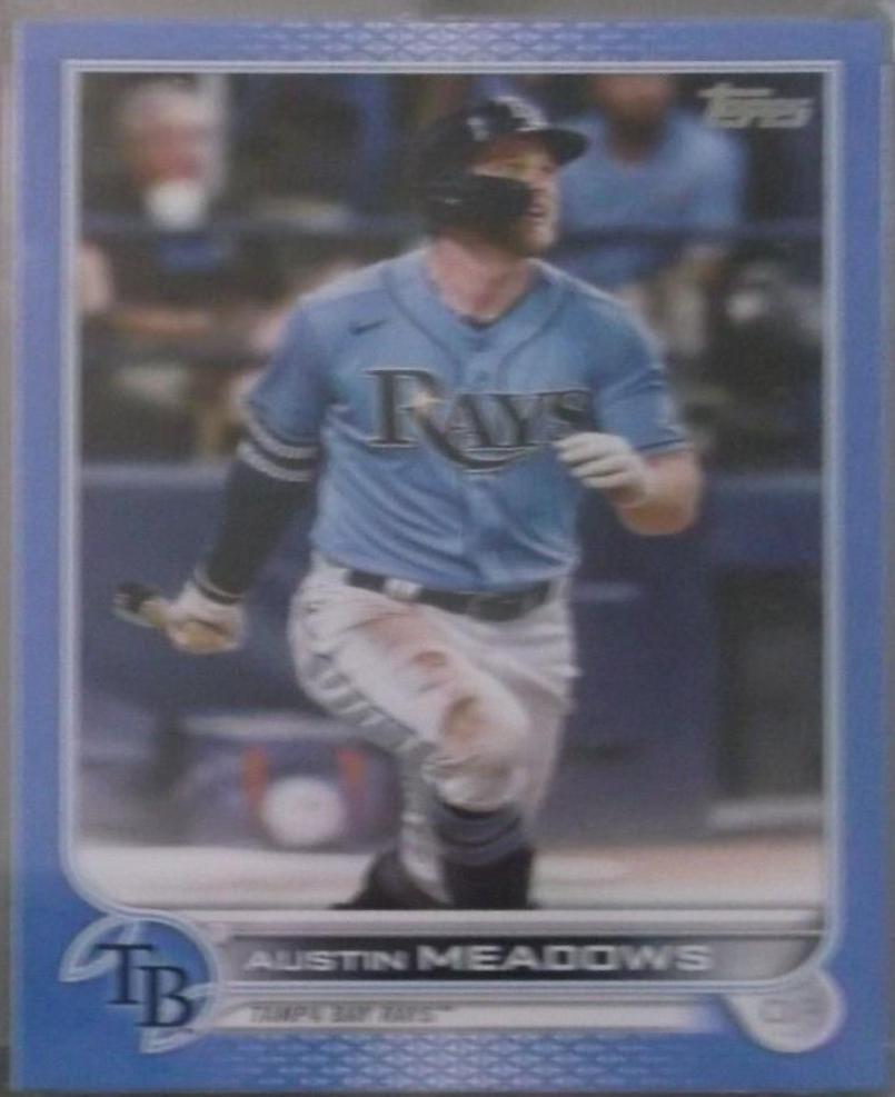 Austin Meadows [Father's Day Powder Blue] #152