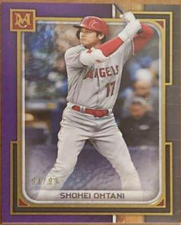 Shohei Ohtani