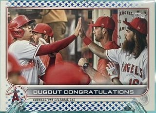 Ohtani / Marsh