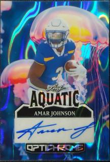 Amar Johnson