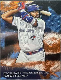Vladimir Guerrero Jr.