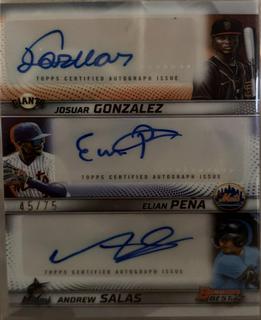 Elian Pena / Andrew Salas / Josuar Gonzalez