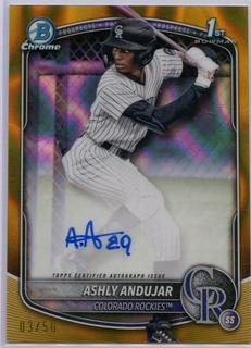 Ashly Andujar