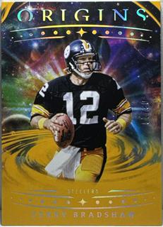 Terry Bradshaw