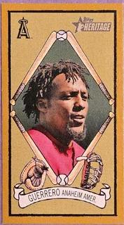 Vladimir Guerrero