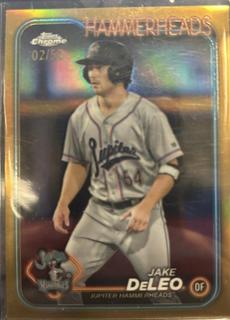 Jake DeLeo