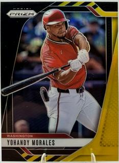 Yohandy Morales