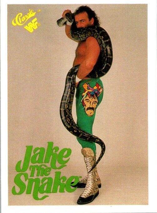 Jake 'The Snake' Roberts #7 Wrestling Cards 1989 Classic WWF