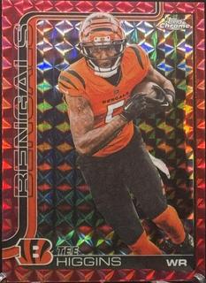 Tee Higgins
