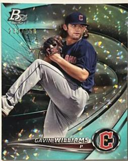 Gavin Williams